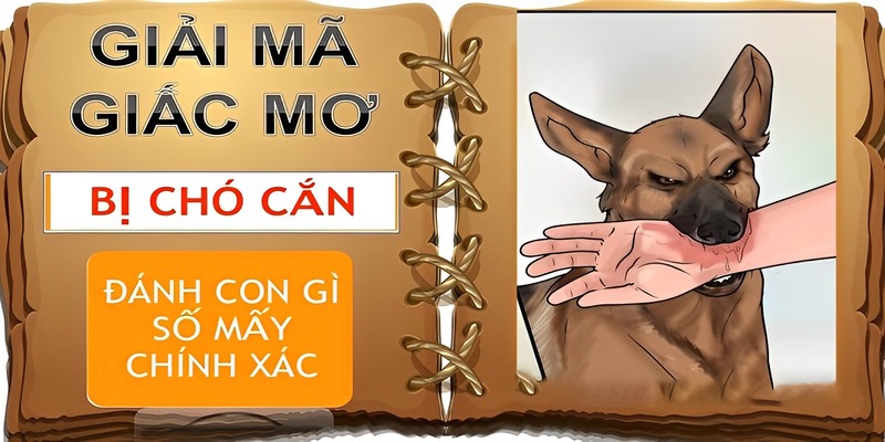 Giải Mã Ý Nghĩa Của Giấc Mơ Bị Chó Cắn - Điều Gì Đang Đến Với Bạn?